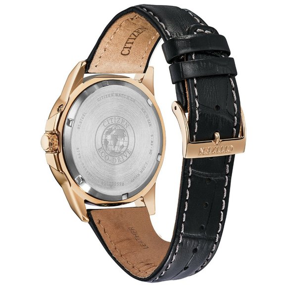 Citizen Eco Drive World Time Watch! w/ box